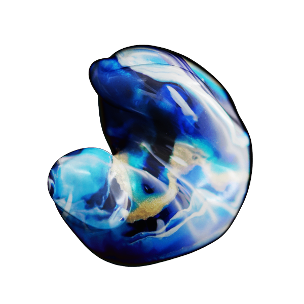 Flowing Sand Shell - FS06C
