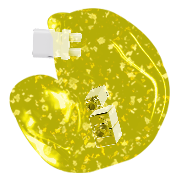 Translucent Gold Foil Shell - TLG06C