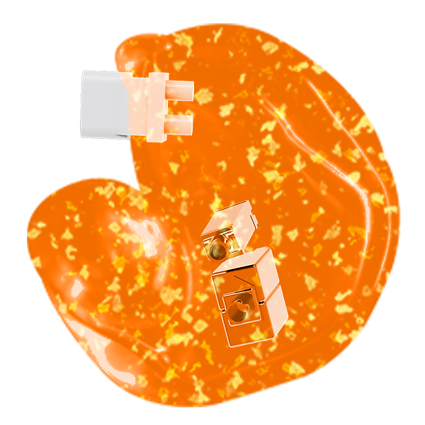 Translucent Gold Foil Shell - TLG07C