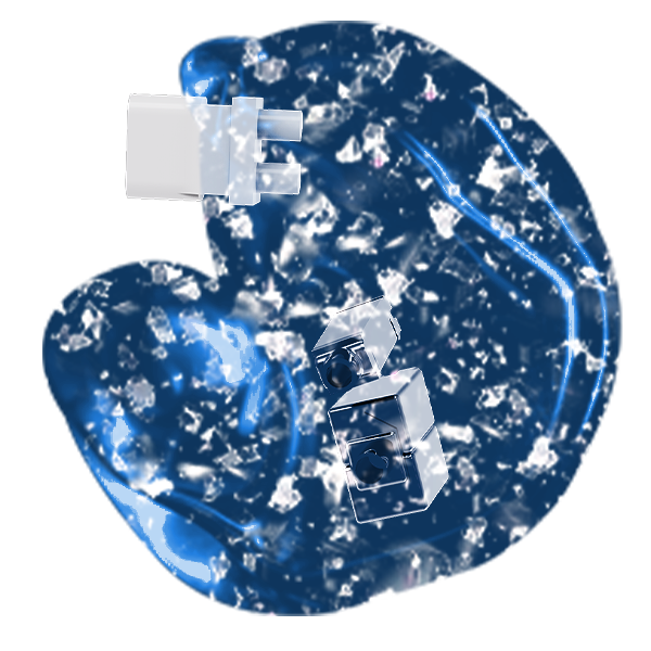Translucent Silver Foil Shell - TLS10C