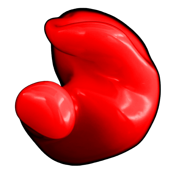 Solid Color Shell - SC02C