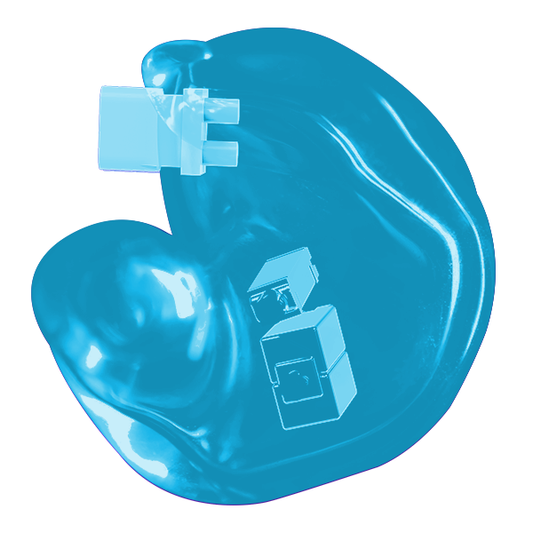 Translucent Shell - TL02C