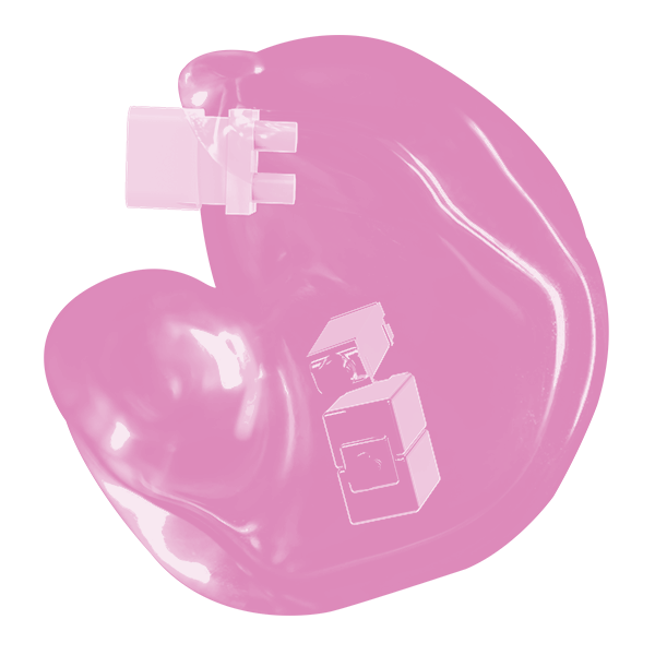 Translucent Shell - TL13C