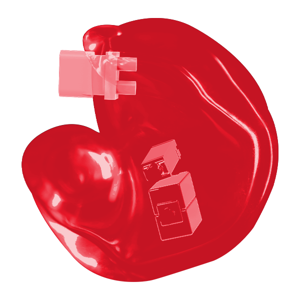 Translucent Shell - TL14C